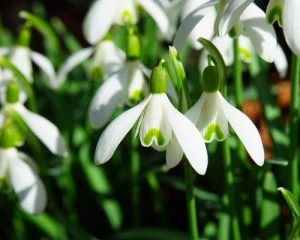 Синоптики порадували прогнозом на понеділок